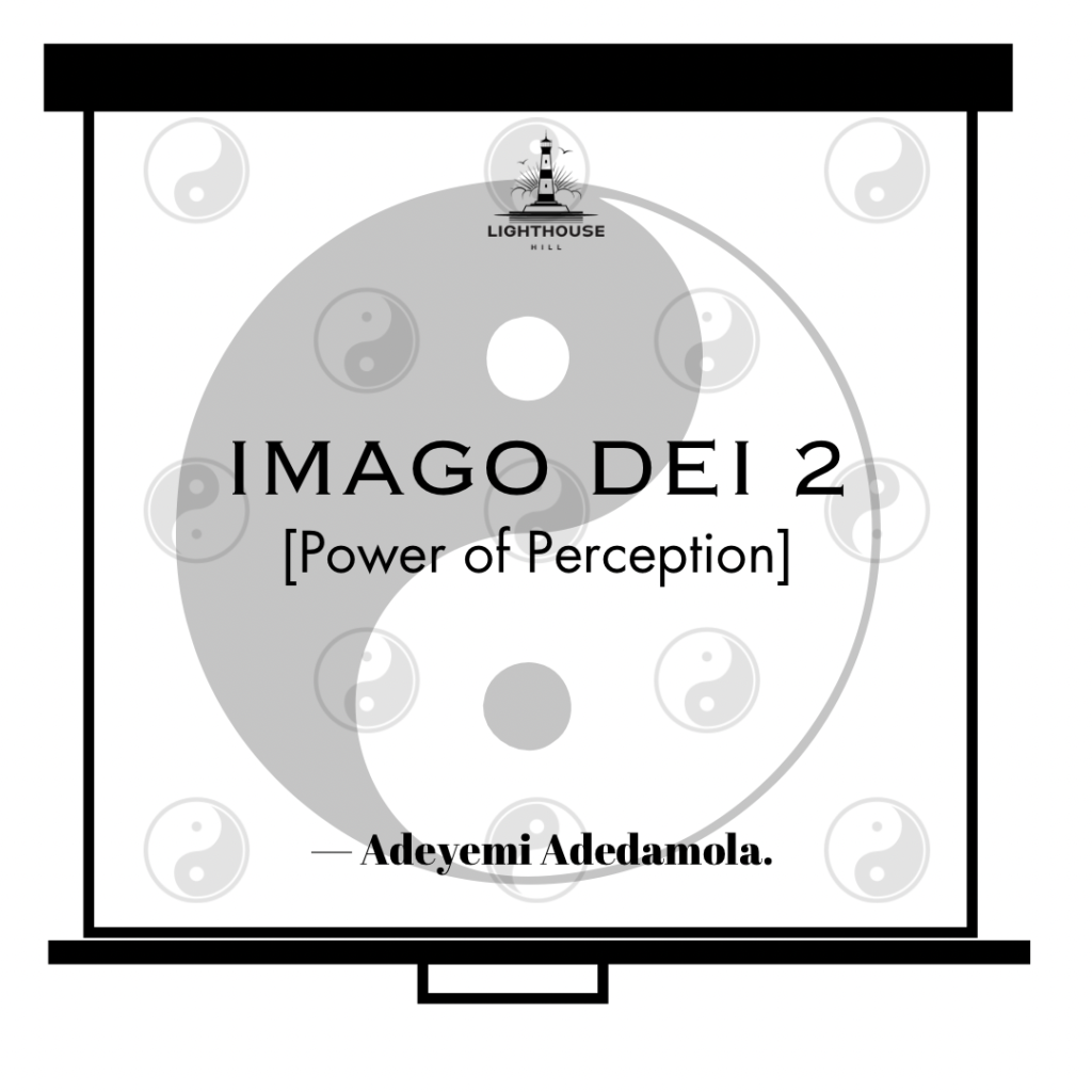 IMAGO DEI 2 (POWER OF PERCEPTION)