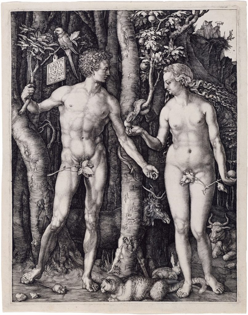 adam and eve, religion, albrecht dürer