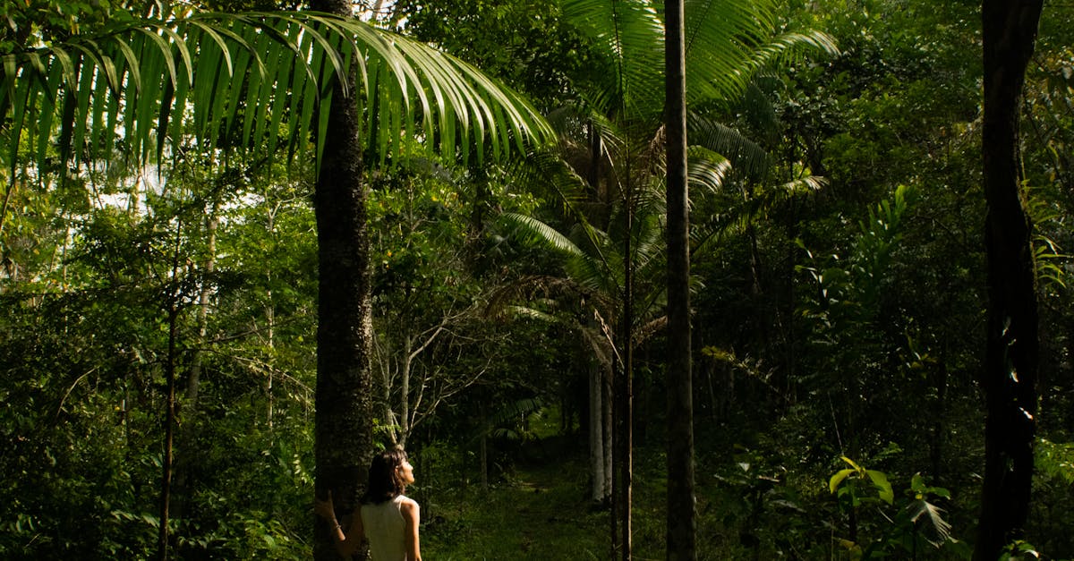 Woman Standing in the Middle of the Forest