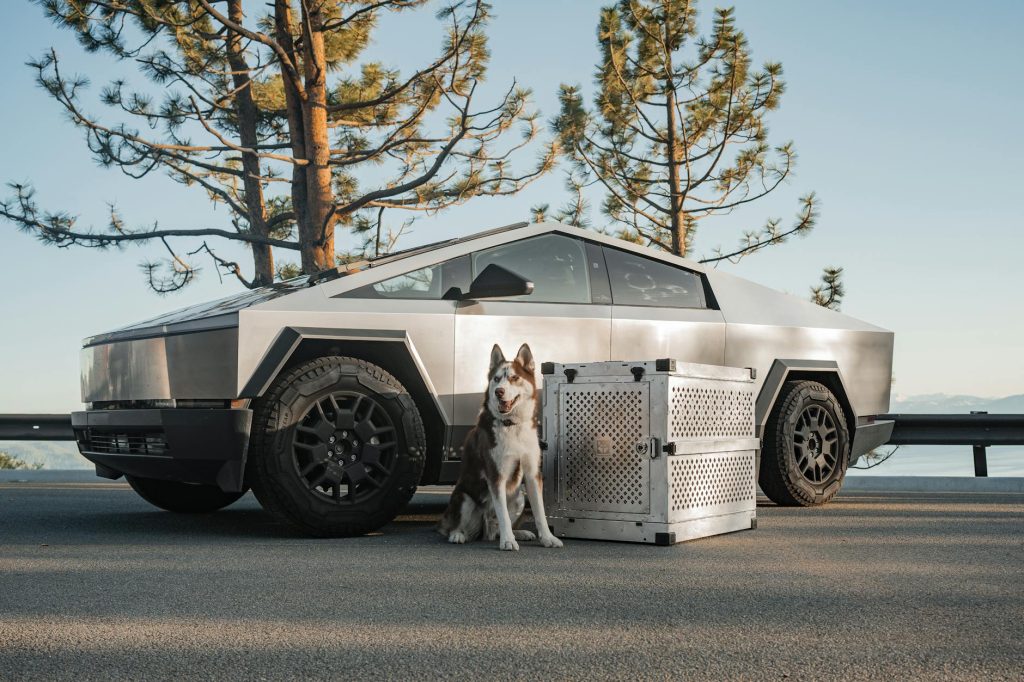 Tesla Cybertruck with Dog and Crate in Nature