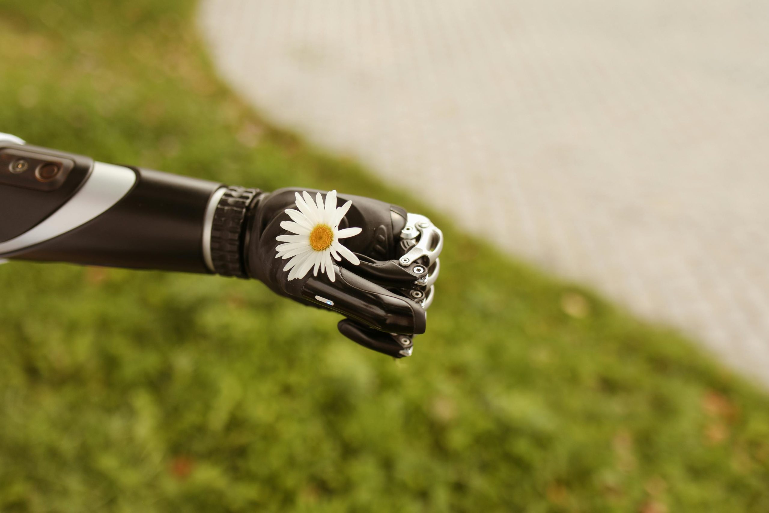 Prosthetic Arm Holding Daisy Flower